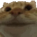 1253338474635989042