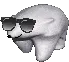 bearcool