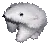 bearspin