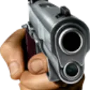 Gun