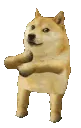 doge