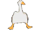 justduckdance