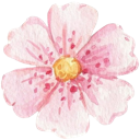 A delicate watercolor-style flower with soft pink petals and a yellow center.