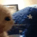 catexcuseme