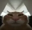 buub