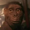Niggamonkey