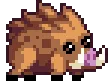 9E09_Boar_A