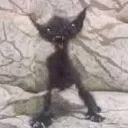 no_idea_what_this_is