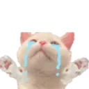 nyoo