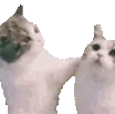 Kissahomie