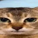 bruh