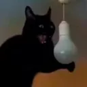AAAA