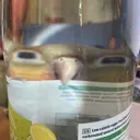 bird bird