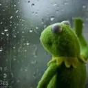 Kermit_sad