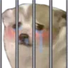 1045677775408857179