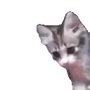catDAP