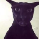 larry custom emote | epic gang