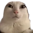 reginald