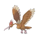 Ibitak