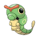 Raupy