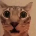 wuh