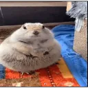 Immagine20251127204548