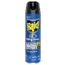 raid