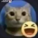 gatorisa custom emote | Sweet Cp Predators 🍡🐯