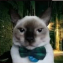 sexo custom emote | Sweet Cp Predators 🍡🐯