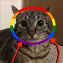 gei Discord sticker from Sweet Cp Predators 🍡🐯