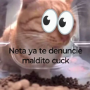 cuck Discord sticker from Sweet Cp Predators 🍡🐯