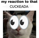 cuckeada Discord Emoji - Sweet Cp Predators 🍡🐯