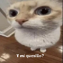 quesillo Discord Emoji - Sweet Cp Predators 🍡🐯