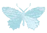 2_butterfly