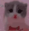 Scared