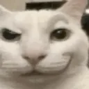 SmirkingCat