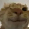 wink