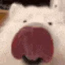 auniipg_goodboy