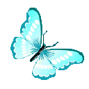 bluebutterfly