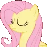 fluttershy_no