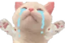 nyoo