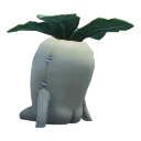 sprout