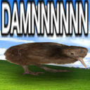 damnkiwi Discord emoji