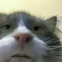 emoji_4