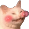 :a_blush_cat_cute_kitty: