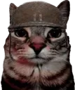 soldjacat