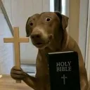 dog_holy