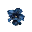 blueflower