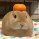 orang