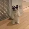 fullofrage